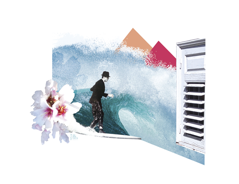 surf collage